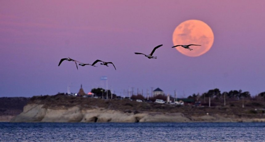  La luna llena, luminosa e impactante por el fenómeno del Esturión 