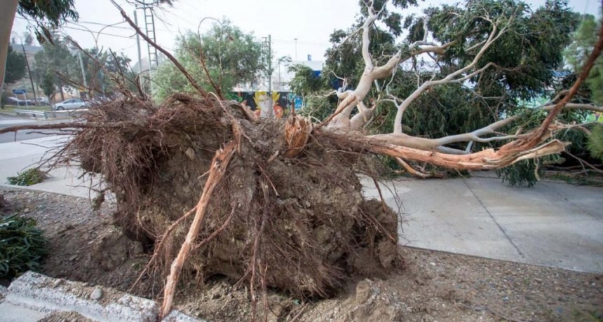  Cerca de 200 viviendas en Comodoro Rivadavia quedaron afectadas por el temporal 