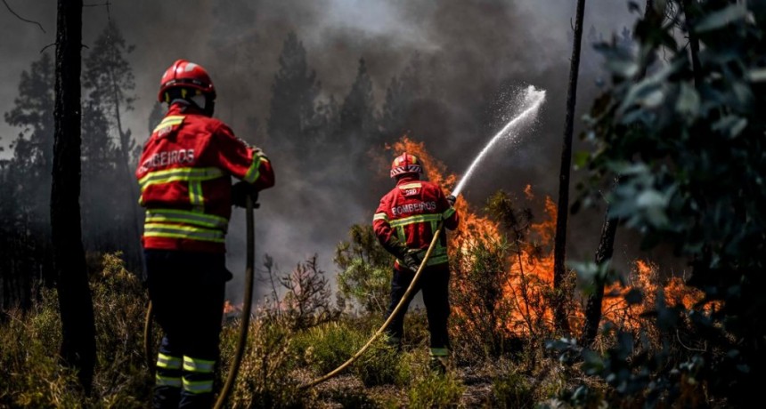 Unos 1.500 evacuados por incendios en Portugal y alerta por ola de calor en España 