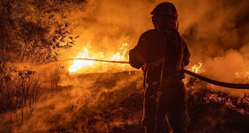  Corrientes es la provincia más afectada por incendios forestales 