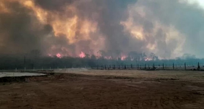  Jujuy registró más de 50 incendios en una semana: preocupa un foco activo en las Yungas 