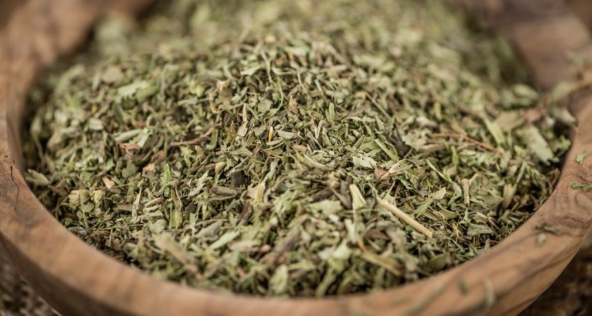  Se expande en la Argentina el consumo de yerba orgánica 