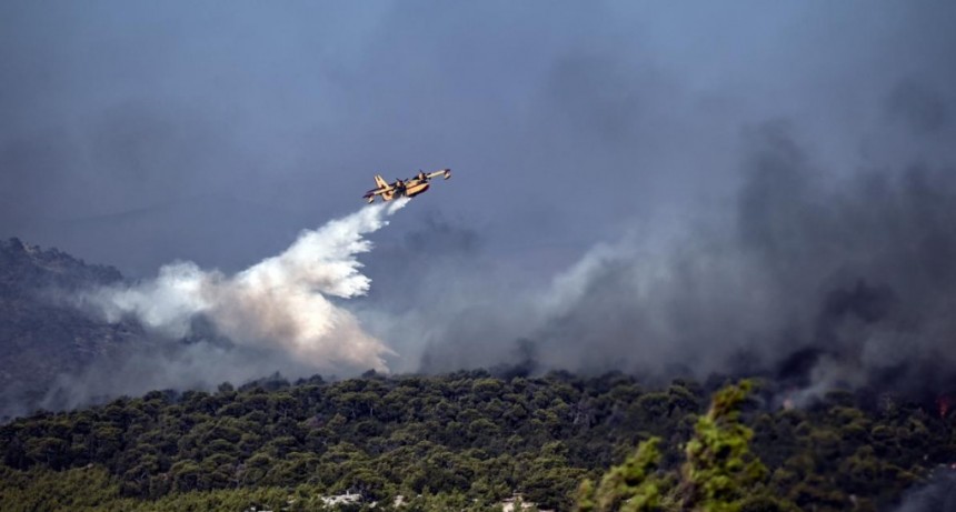 Brigadistas siguen combatiendo un incendio en el noreste de Grecia 