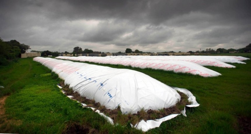  Productores vendieron por US$ 400 millones 