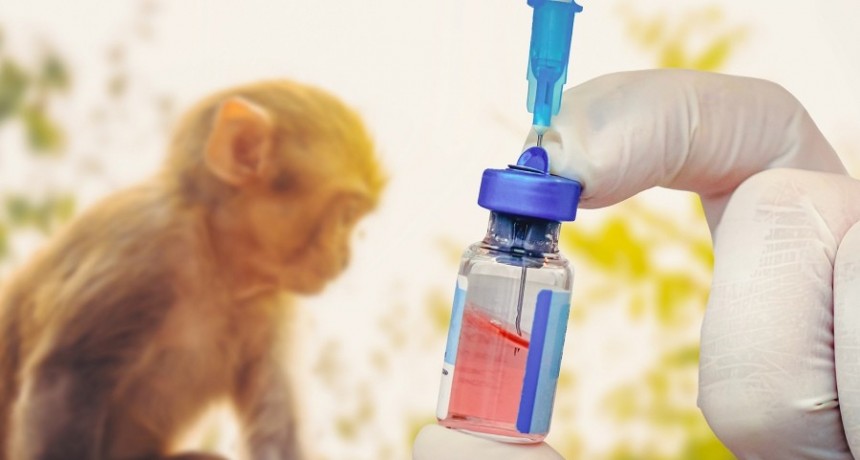  Inician en EEUU ensayos clínicos de una vacuna contra la viruela del mono 