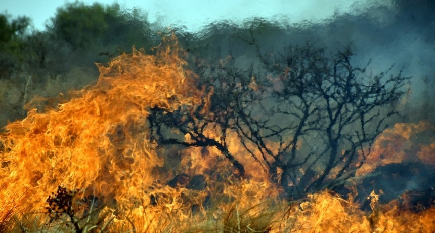  Cinco provincias registran incendios forestales activos 