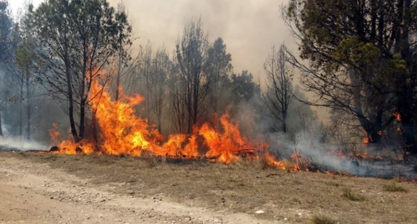  Córdoba y Catamarca se suman a los focos de incendios que ya afectan a siete provincias 