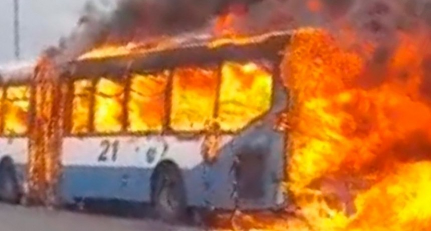  Se incendió un colectivo en plena autopista Panamericana 