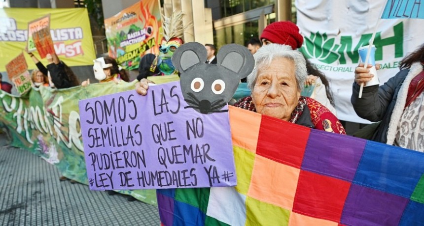  Ambientalistas se encadenaron por una Ley de Humedales 