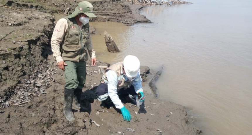  Perú declaró el estado de emergencia en la zona de Amazonía por un derrame de petróleo 