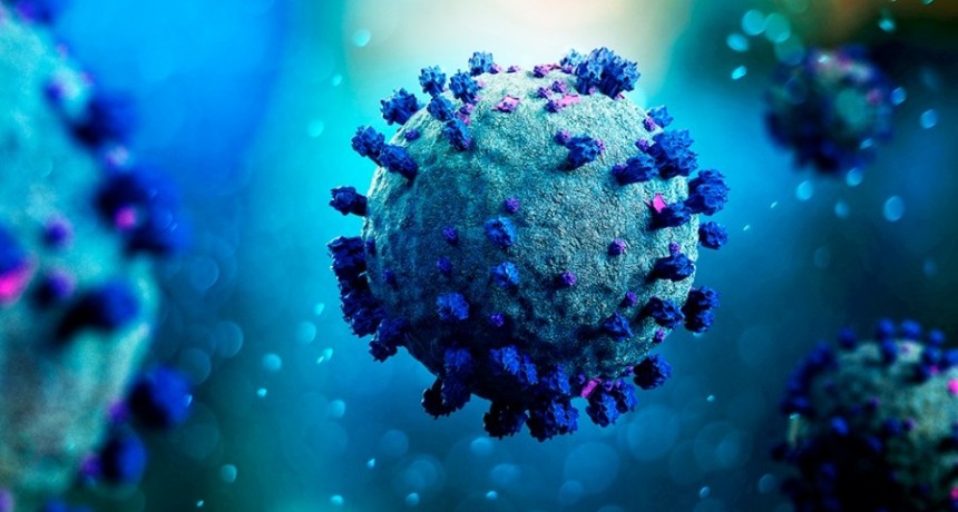  Publicaron una investigación correntina sobre el uso de suero equino en Covid 