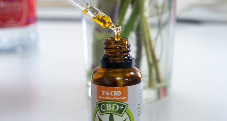  Cannabis terapéutico: ¿qué estudian los laboratorios en el país? 