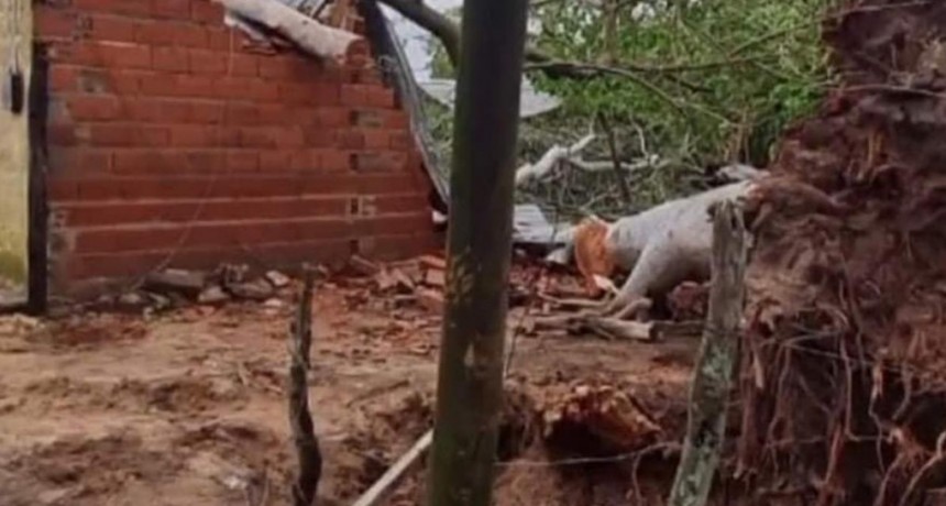  Tormenta de viento en Corrientes: una joven murió tras la caída de un árbol sobre su casa 