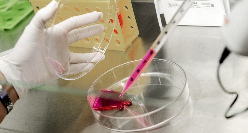  Avanza el desarrollo de un test para detectar cáncer de mama y de próstata en forma precoz 