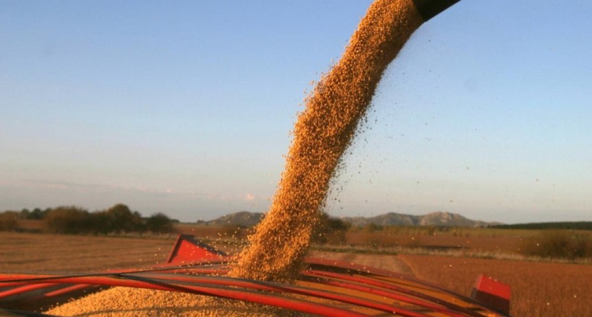  La venta de soja superó las 3 millones de toneladas 