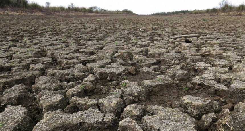 El cambio climático causó las sequías del verano en el hemisferio norte 