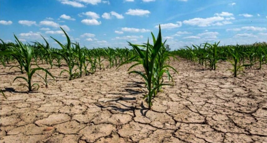  Advierten que las condiciones de sequía por La Niña continuarán afectando al agro 