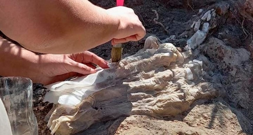  Encontraron un fósil de 8.500 años en la localidad rionegrina de General Conesa 