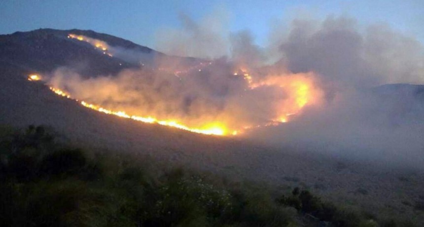  Combaten incendio forestal en las sierras cordobesas 