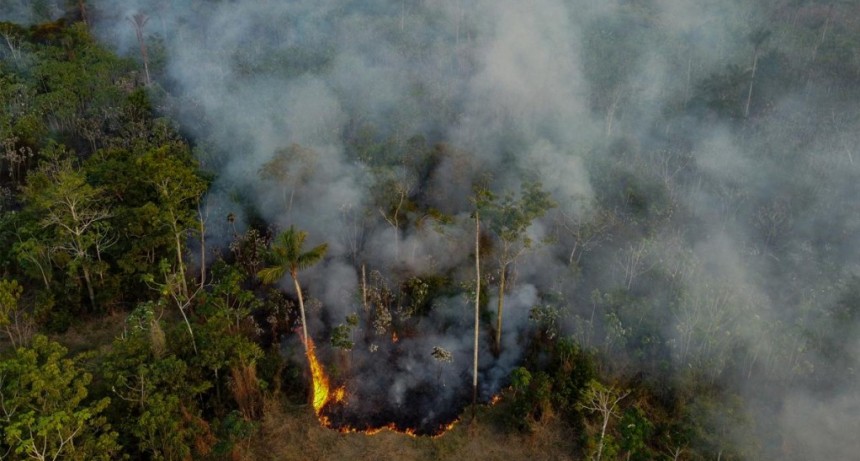  Nube tóxica por incendios en la Amazonía pone en peligro a su capital Manaos 