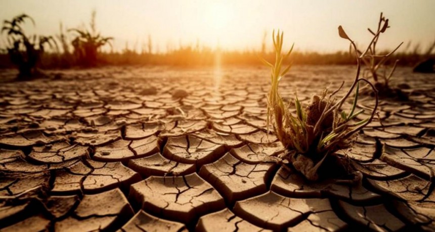  El 50% de los argentinos cree que todavía hay tiempo para frenar el cambio climático 