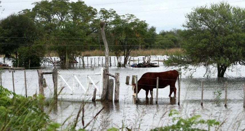  Las lluvias trajeron esperanza a productores de Buenos Aires, Sante Fe y Córdoba 