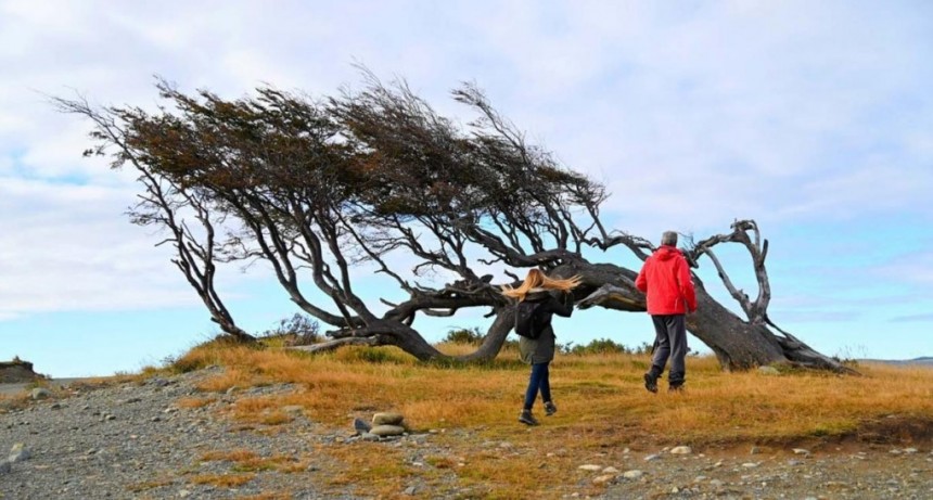  Suspendieron las clases en ciudades fueguinas por un temporal de viento 