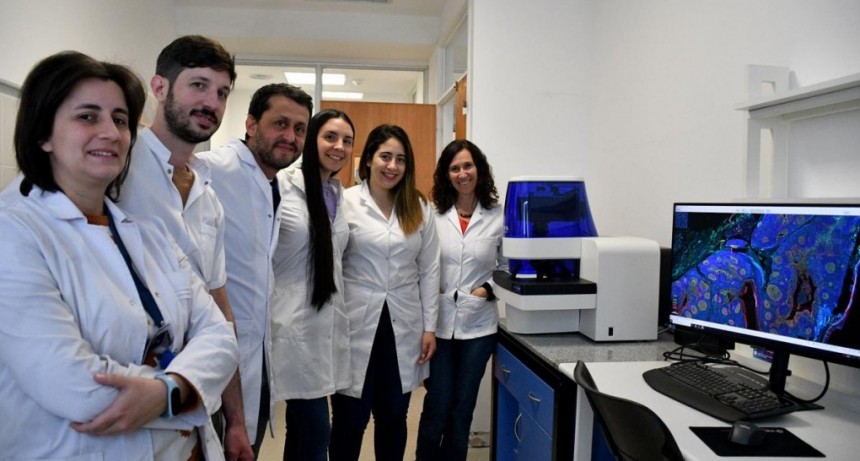  Científicos del Conicet investigan una técnica para dirigir las terapias contra el cáncer 