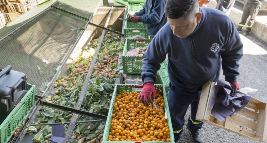  Mercado Central: recuperan 6.000 kilos de frutas y verduras por día para donar a comedores 