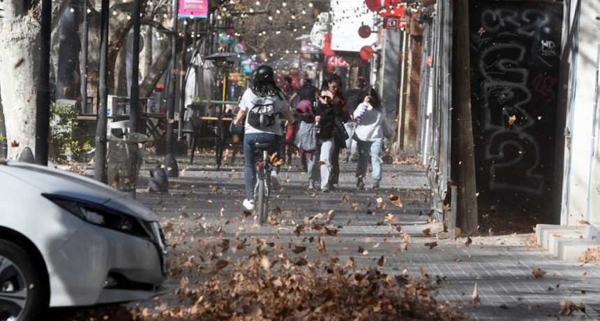  Viento Zonda en Mendoza: recomiendan no recorrer espacios abiertos y arbolados 