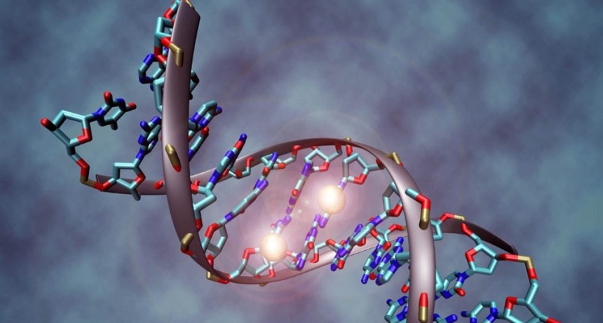  Cient&iacute;ficas de la Universidad de La Plata arman el primer banco del genoma argentino 