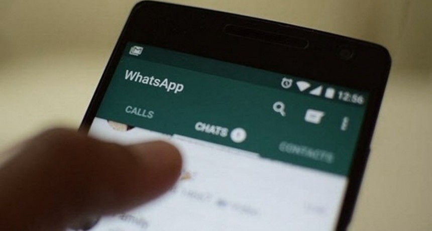 Se puede consultar por WhatsApp información de las elecciones legislativas