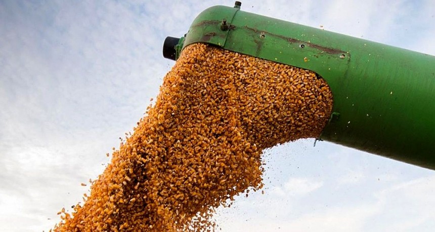  En los primeros diez meses del año, el agro liquidó por US$ 35.034 millones 