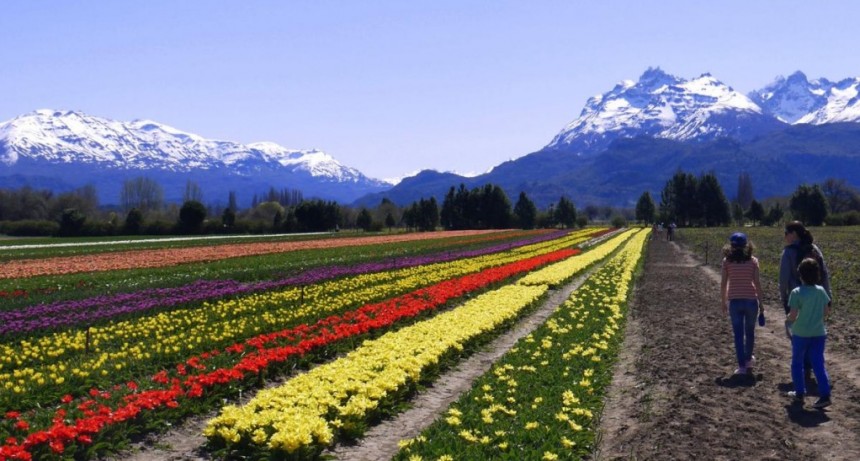  Tierra de tulipanes y otras escapadas soñadas por 150 pueblos se suman a Google Maps 