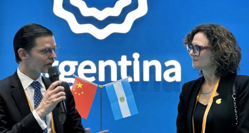  “China es un factor decisivo para la estabilidad macroeconómica argentina” 