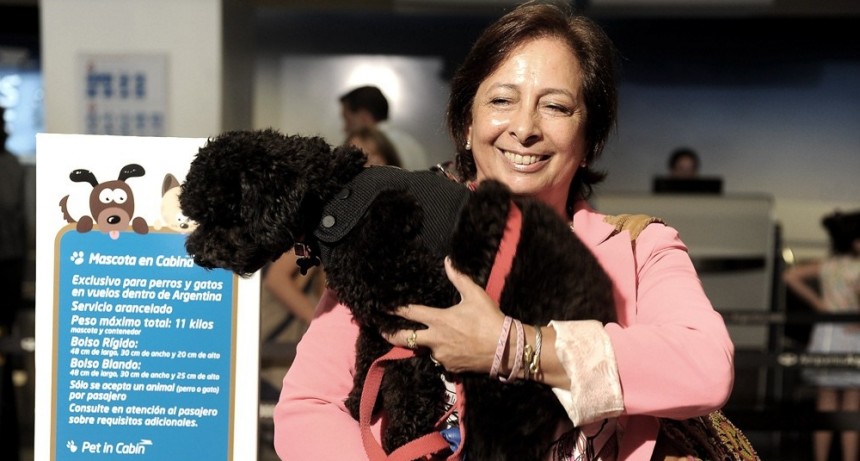  Como funcionará el nuevo sistema digital para viajar con mascotas al exterior 