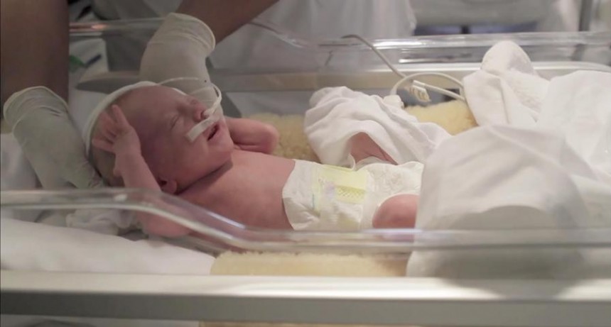  Un programa para controlar y favorecer el desarrollo de los bebés prematuros 