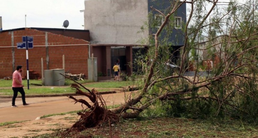  Temporal de viento, lluvia y granizo afectó a más de 20 barrios de la ciudad de Posadas 