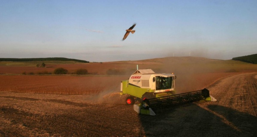  Avanza la siembra de arroz, soja y lino de la campa&ntilde;a 2023/202 