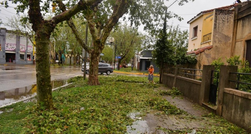  El granizo y los fuertes vientos generaron destrozos en el norte de San Luis 