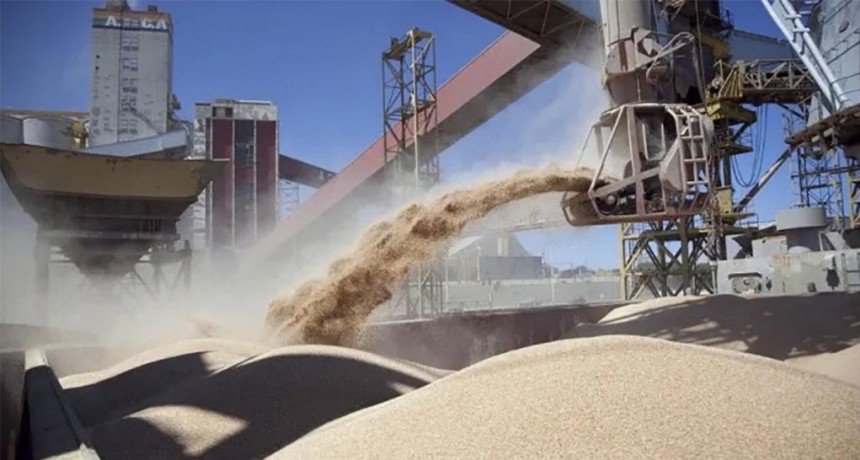  Los agroexportadores liquidaron el máximo nivel histórico de divisas 