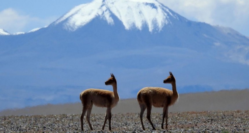  Las montañas, que albergan el 80% de agua dulce mundial, están en riesgo 