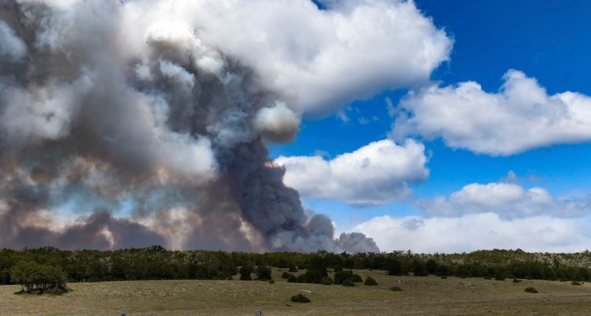  El incendio forestal en Tierra del Fuego está contenido pero no controlado 