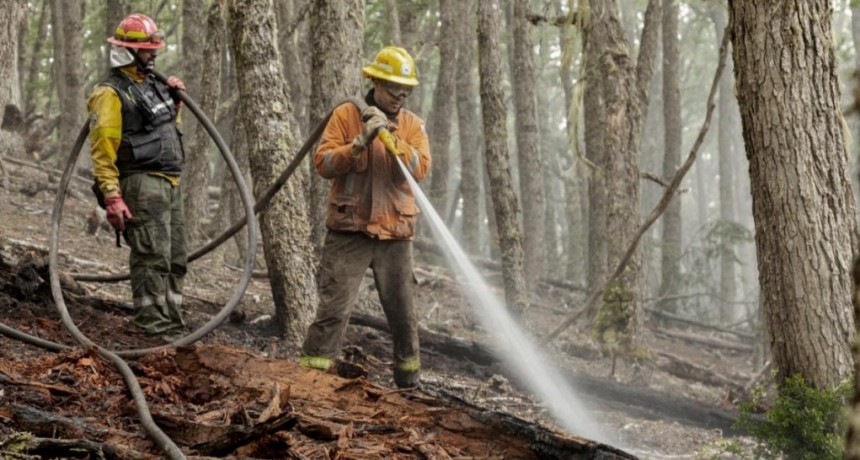  Dos procesados por el incendio afectó 10 mil hectáreas de bosque fueguino 