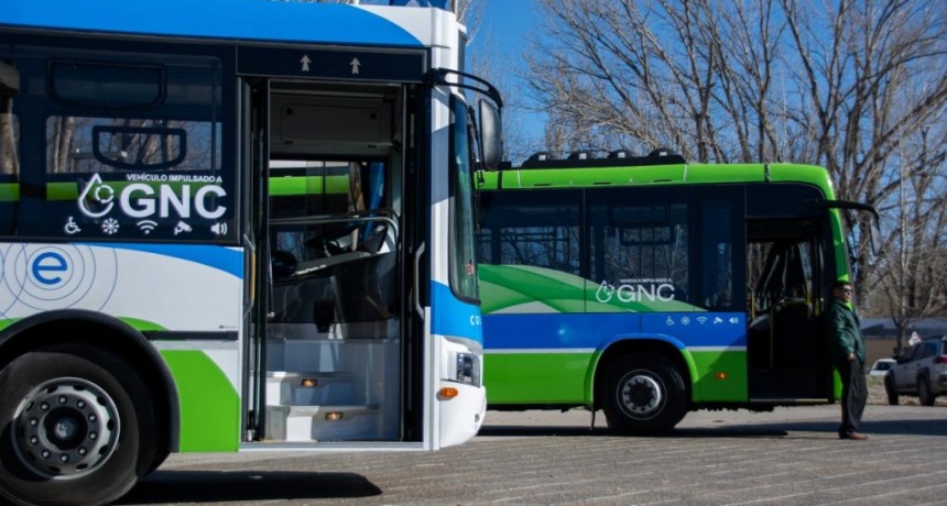  El boleto de colectivo aumentó casi el 45% en Neuquén y pasó a costar $280 