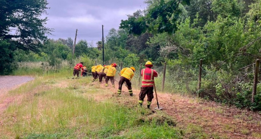  Los incendios forestales consumieron 3.400 hectáreas y hay 11 focos activos 