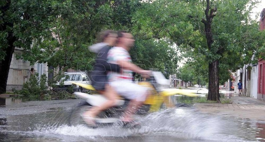  El temporal en Santa Fe causó caída de árboles, cortes de luz y demoras en el transporte 