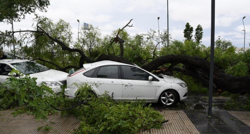  Temporal en CABA: 16 heridos, 363 árboles caídos, apagón y más de 100 vuelos cancelados 