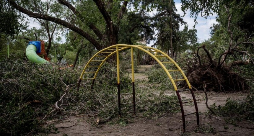 Crónica de una Bahía Blanca desconocida: colas, escasez y calles intransitables 