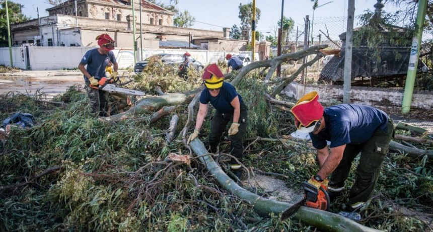  Restablecieron el suministro eléctrico del 69% de los clientes en Bahía Blanca 